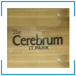 CEREBRUM-150x150